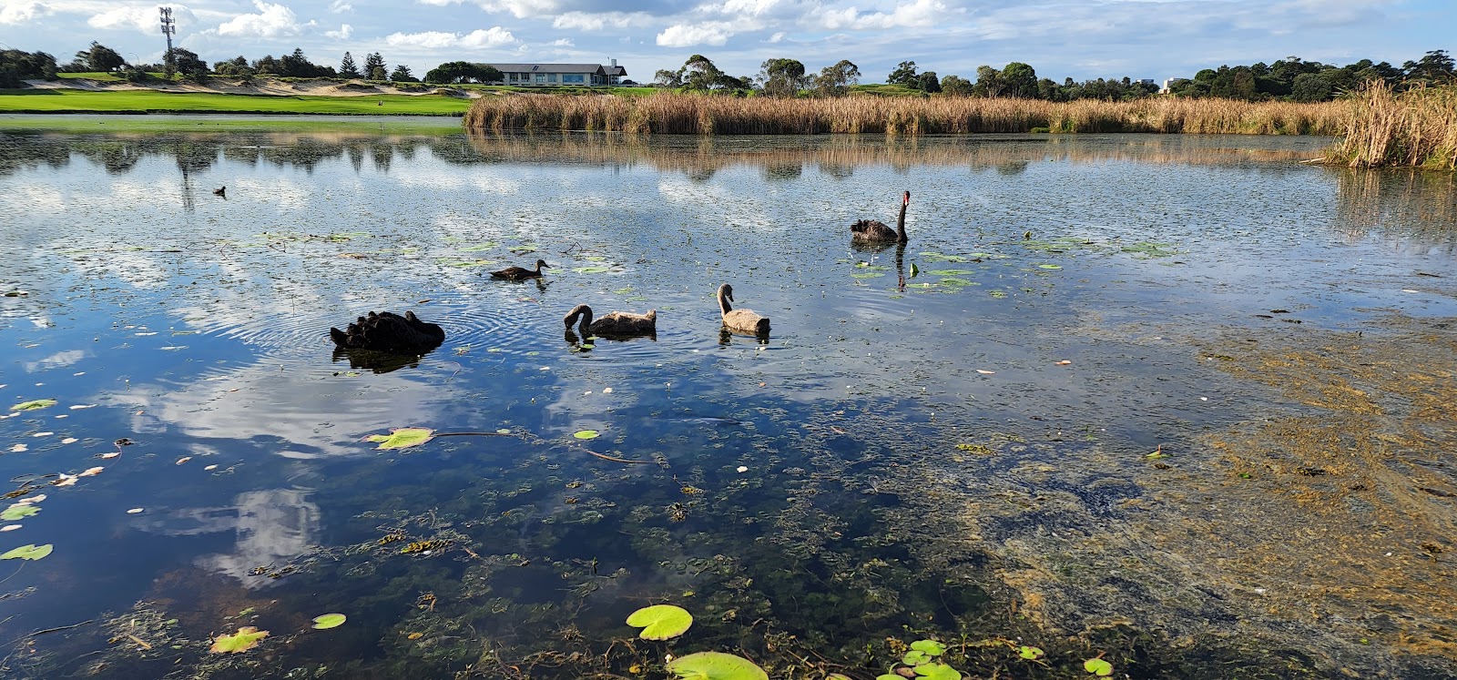 Eastlake Golf Club Limited in Kingsford - photo 7
