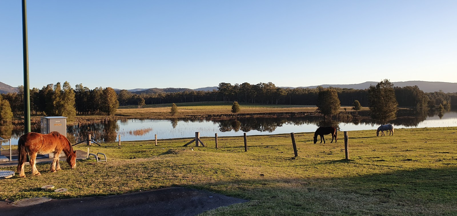 Ellalong Hotel in Ellalong - photo 7
