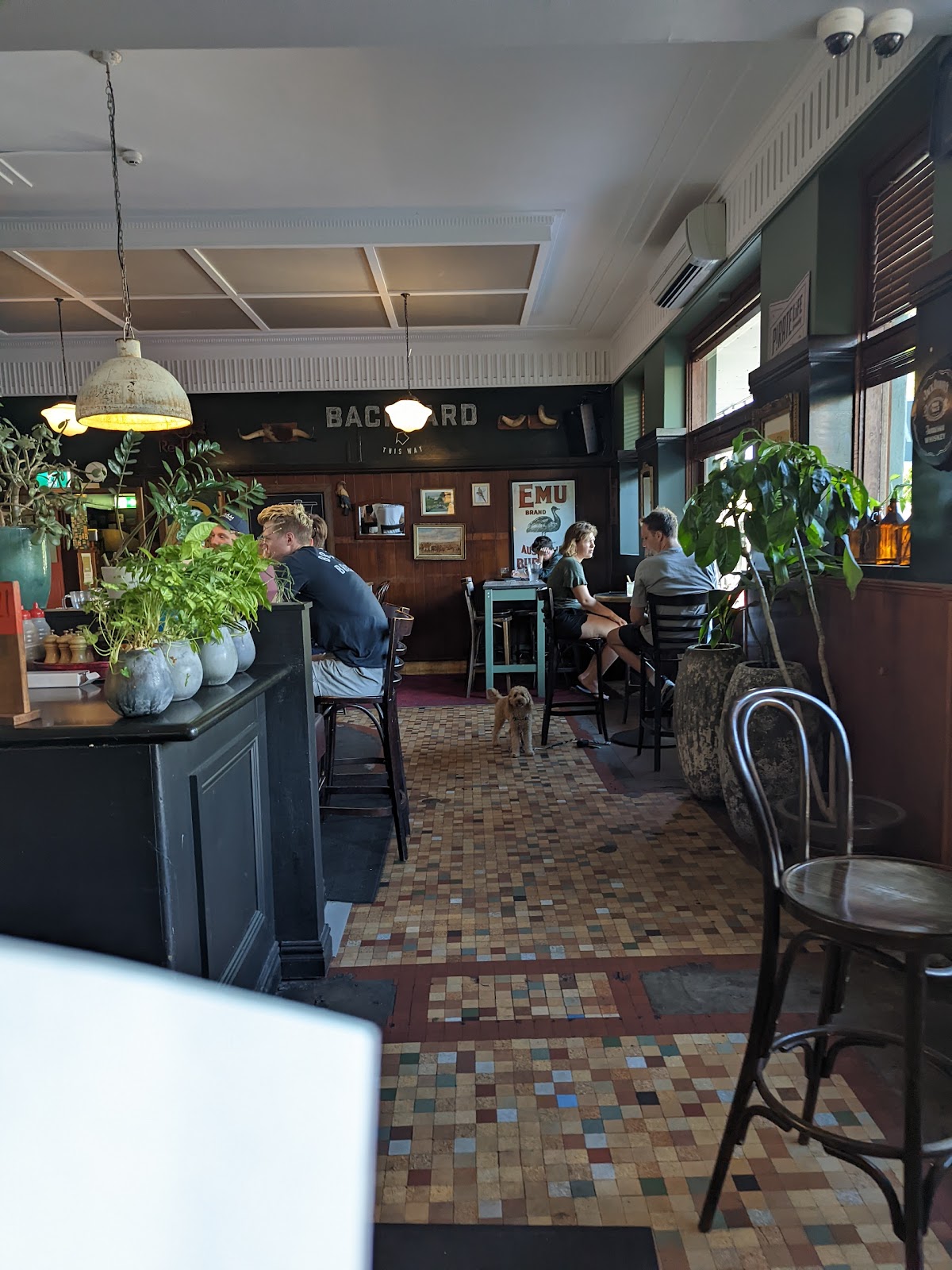 Erskineville Hotel in Erskineville - photo 6