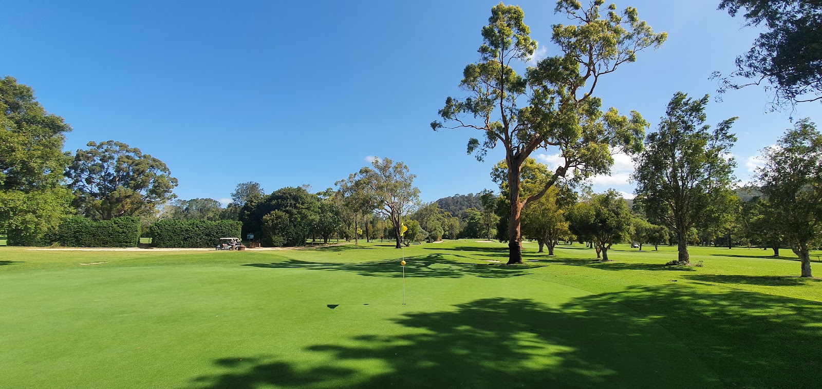 Everglades Country Club in Woy Woy - photo 1