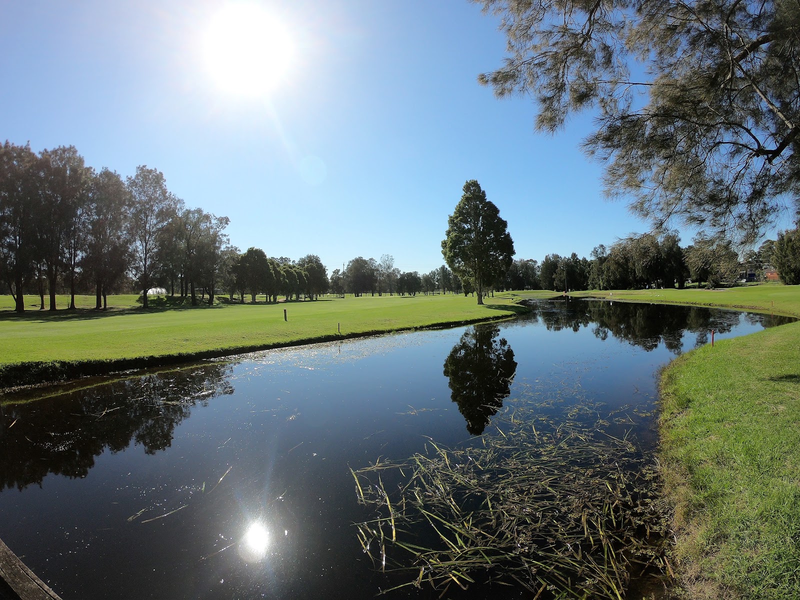 Fox Hills Golf Club in Toongabbie - photo 4