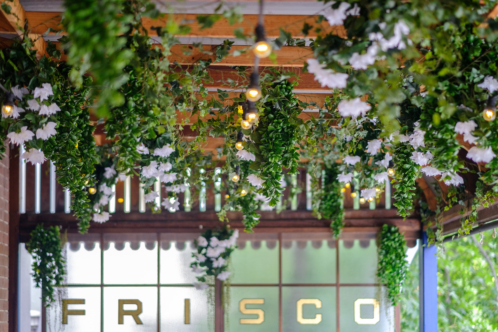 Frisco Hotel in Woolloomooloo - photo 4