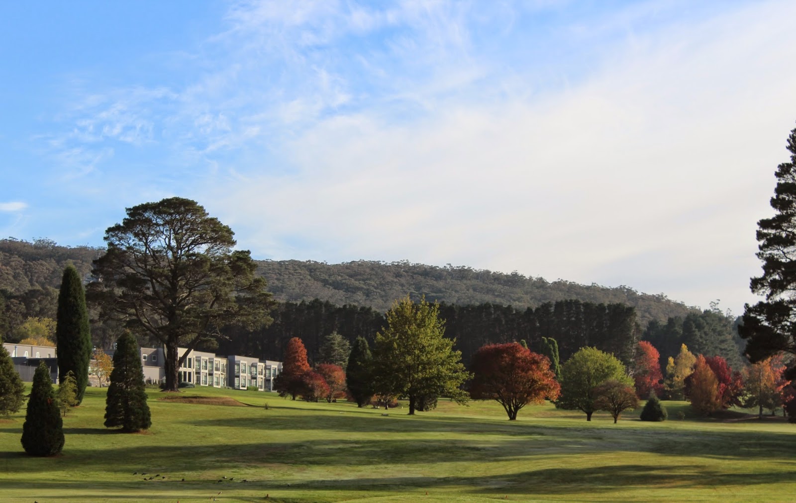 Gibraltar Hotel Bowral in Bowral - photo 4