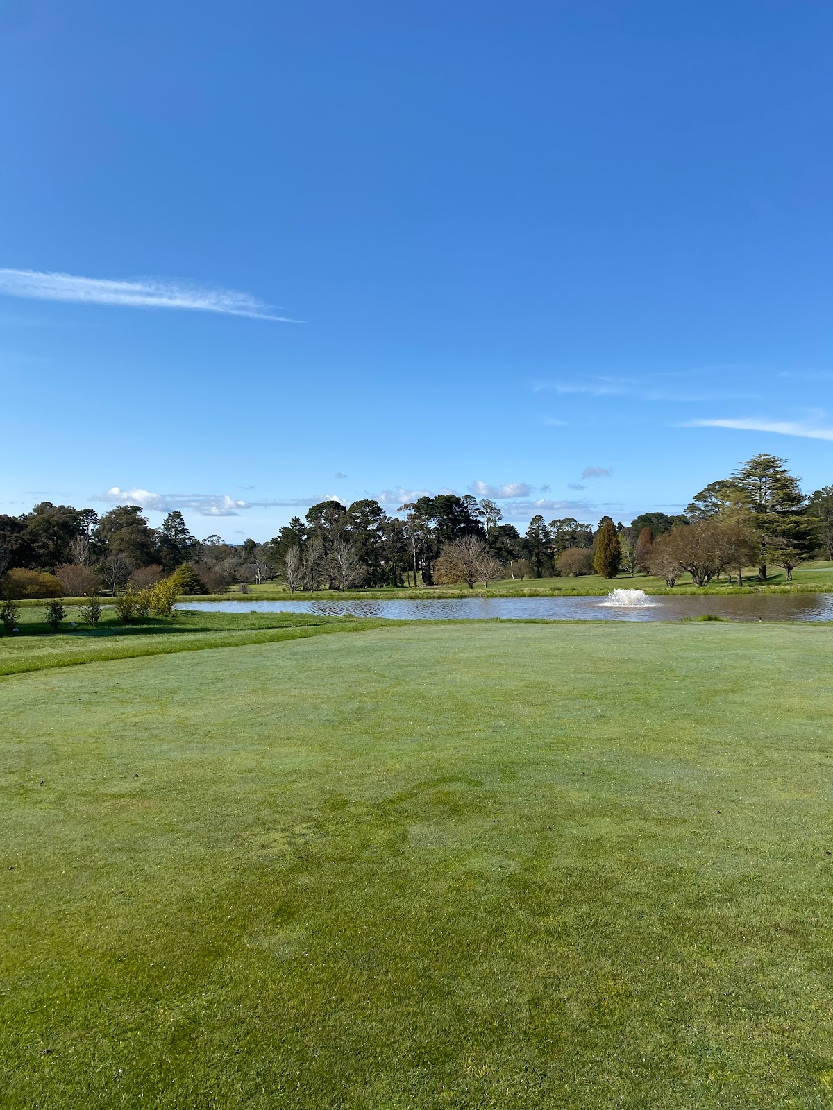 Gibraltar Hotel Bowral in Bowral - photo 6