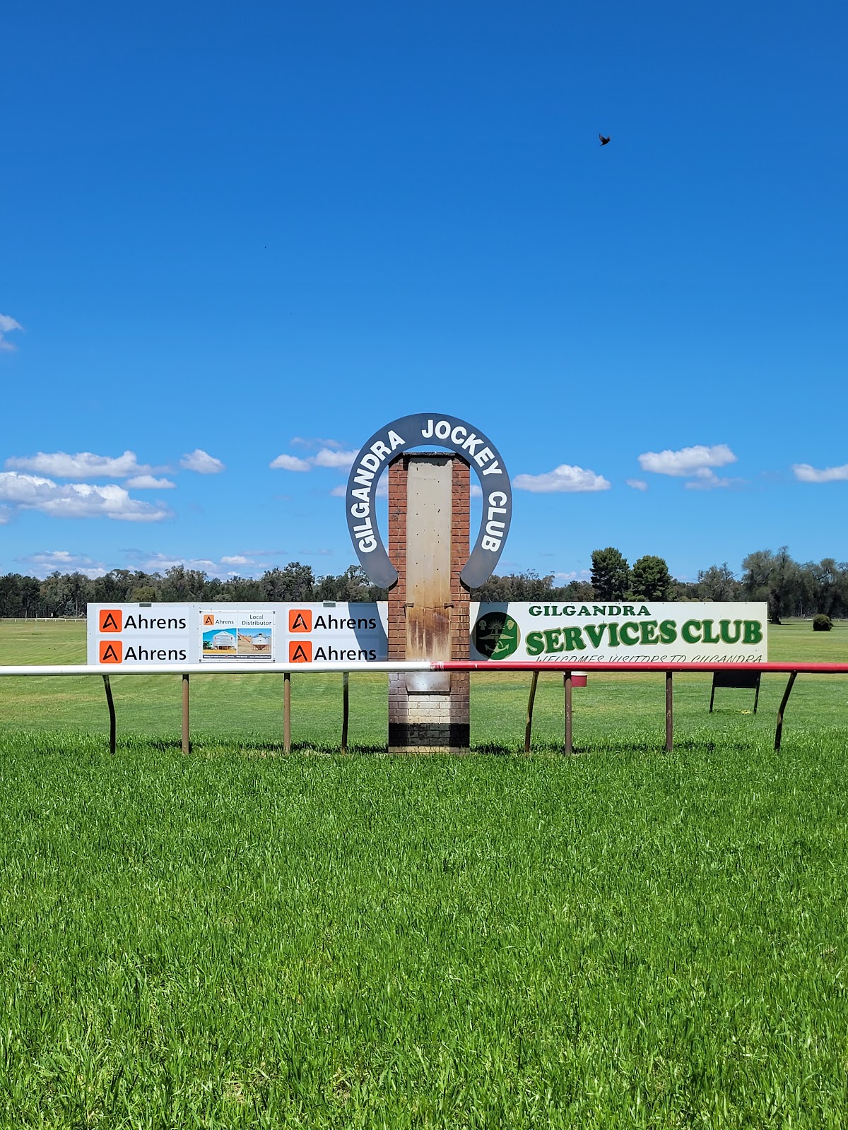 Gilgandra Golf Club Co-operative Limited in Gilgandra - photo 1