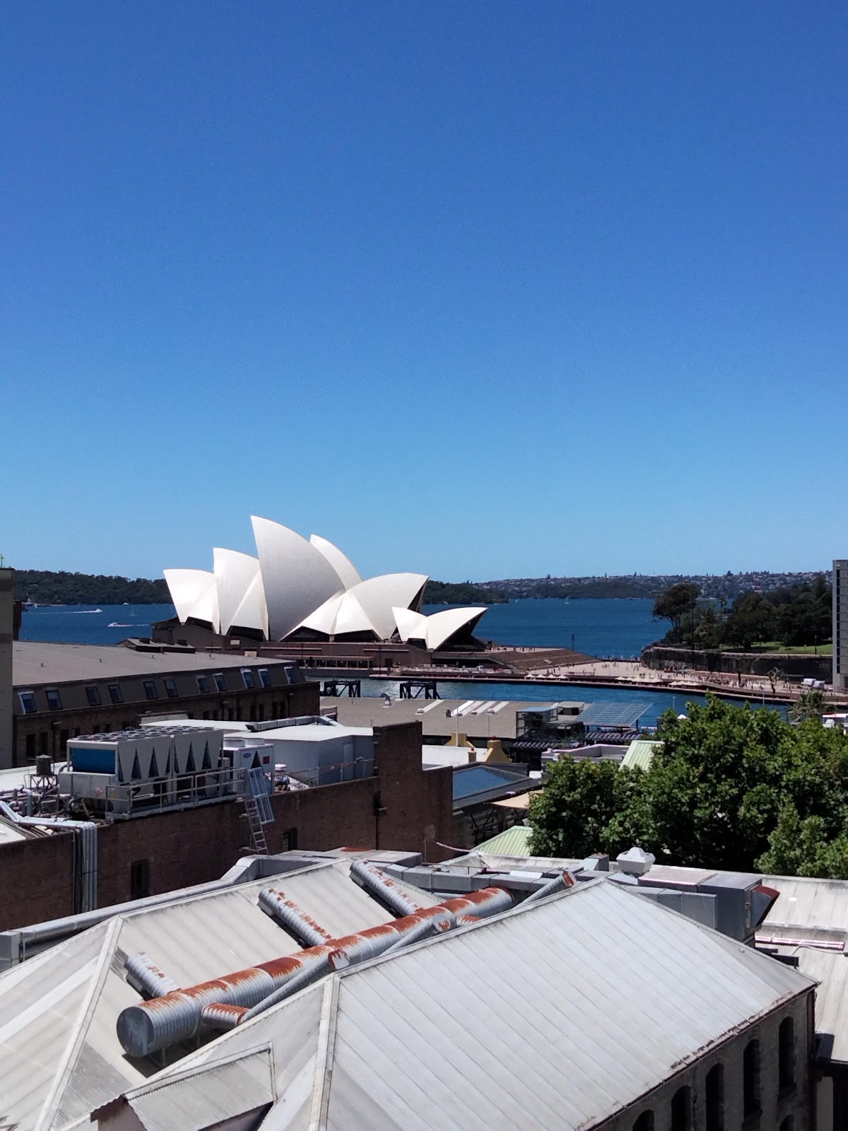 Glenmore Hotel in The Rocks - photo 8