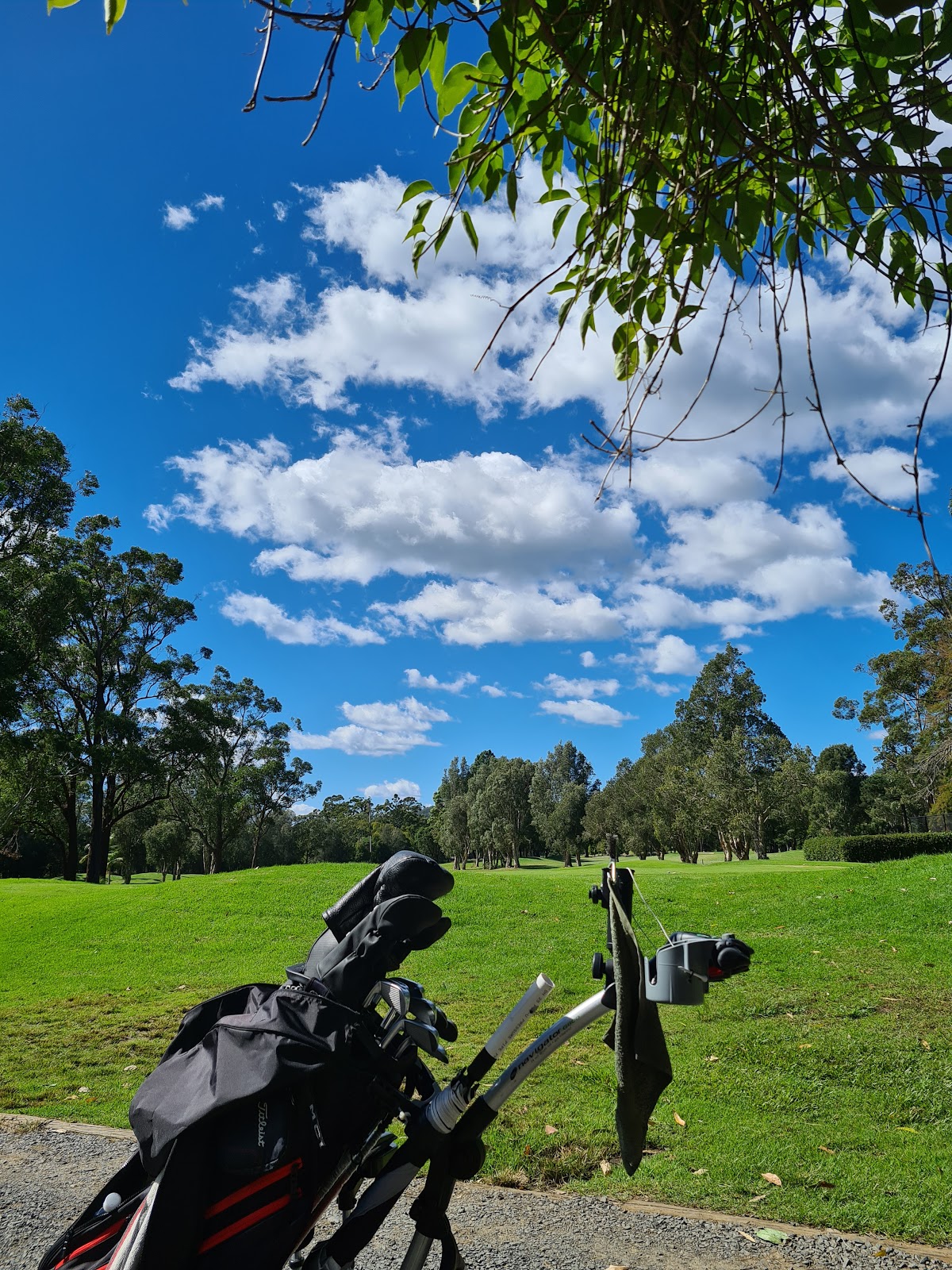 Gosford Golf Club Pty Ltd in Gosford - photo 6