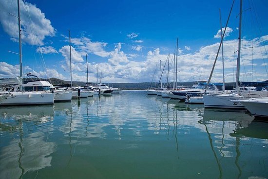 Gosford Sailing Club Ltd in Gosford - photo 7