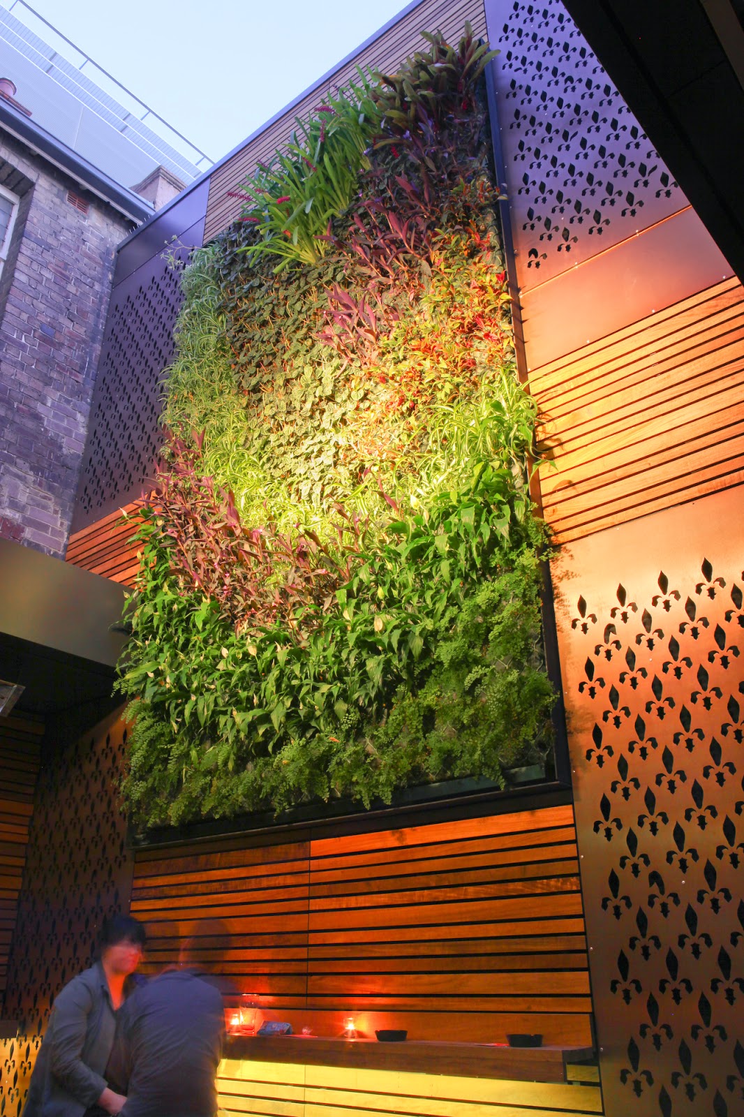 Green Park Hotel in Darlinghurst - photo 6