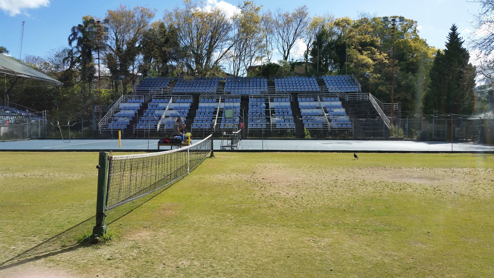 Hakoah White City in Paddington - photo 4