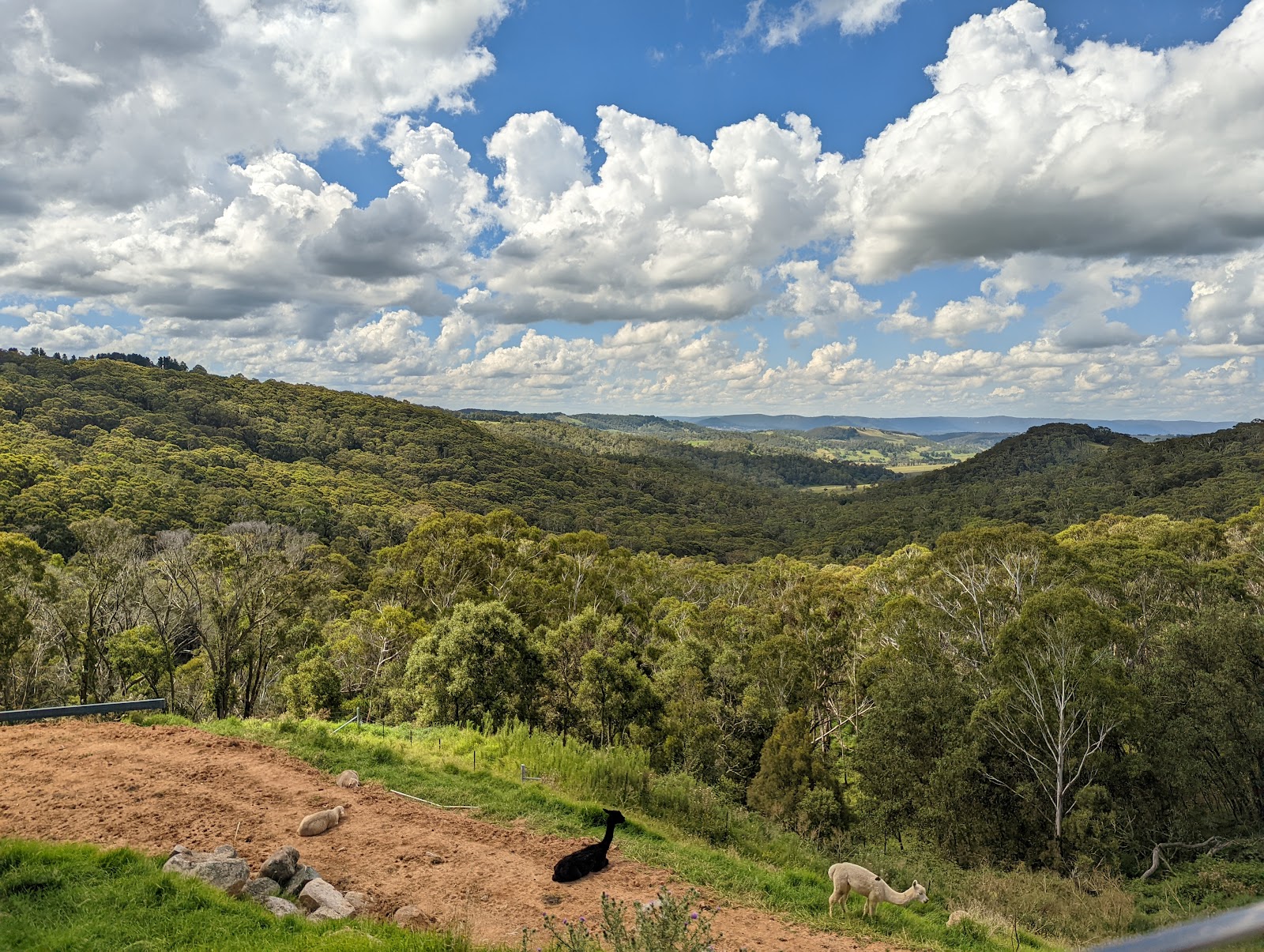 Hampton Half-Way House Hotel in Hampton - photo 6