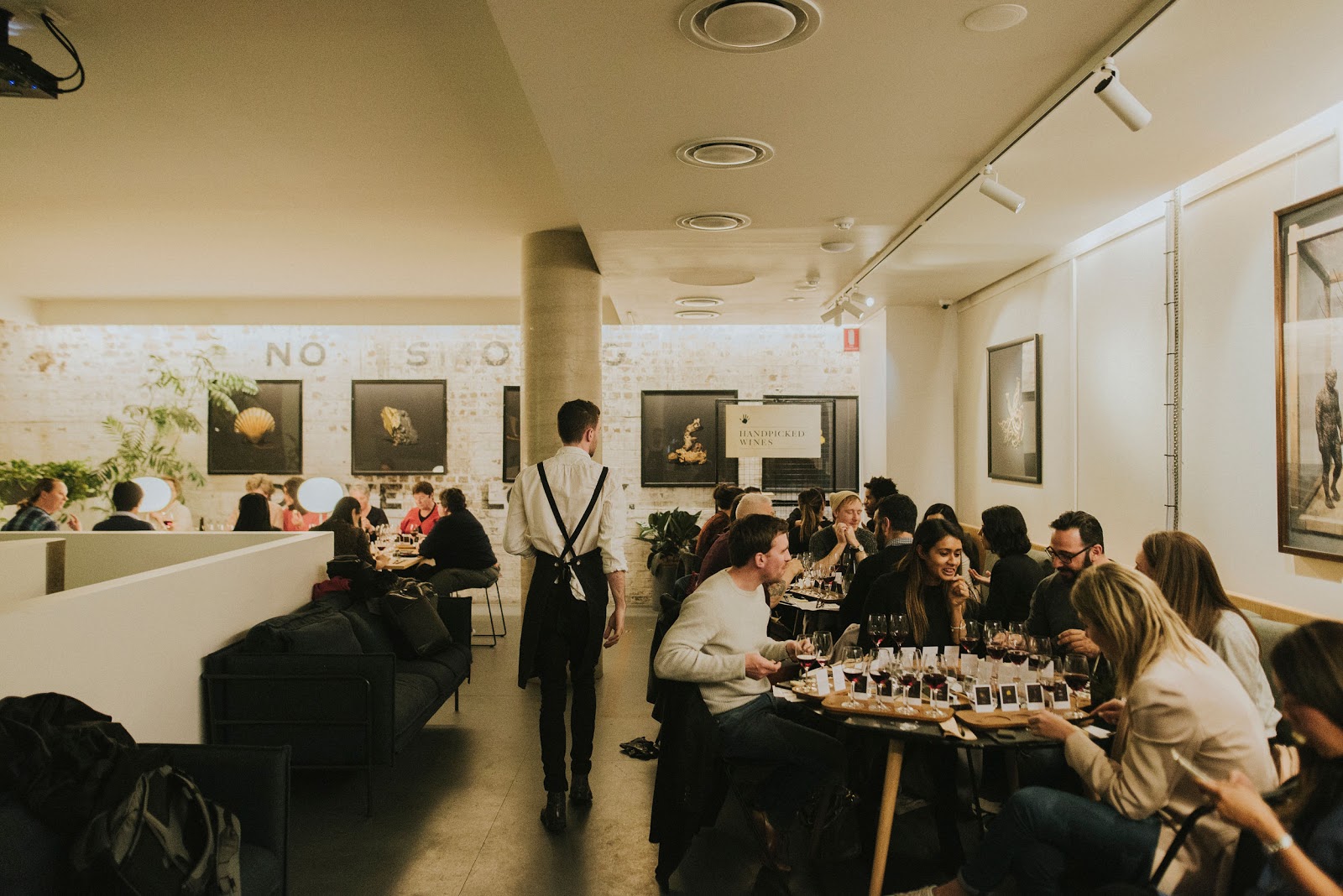 Handpicked Experience Cellar Door in Chippendale - photo 4