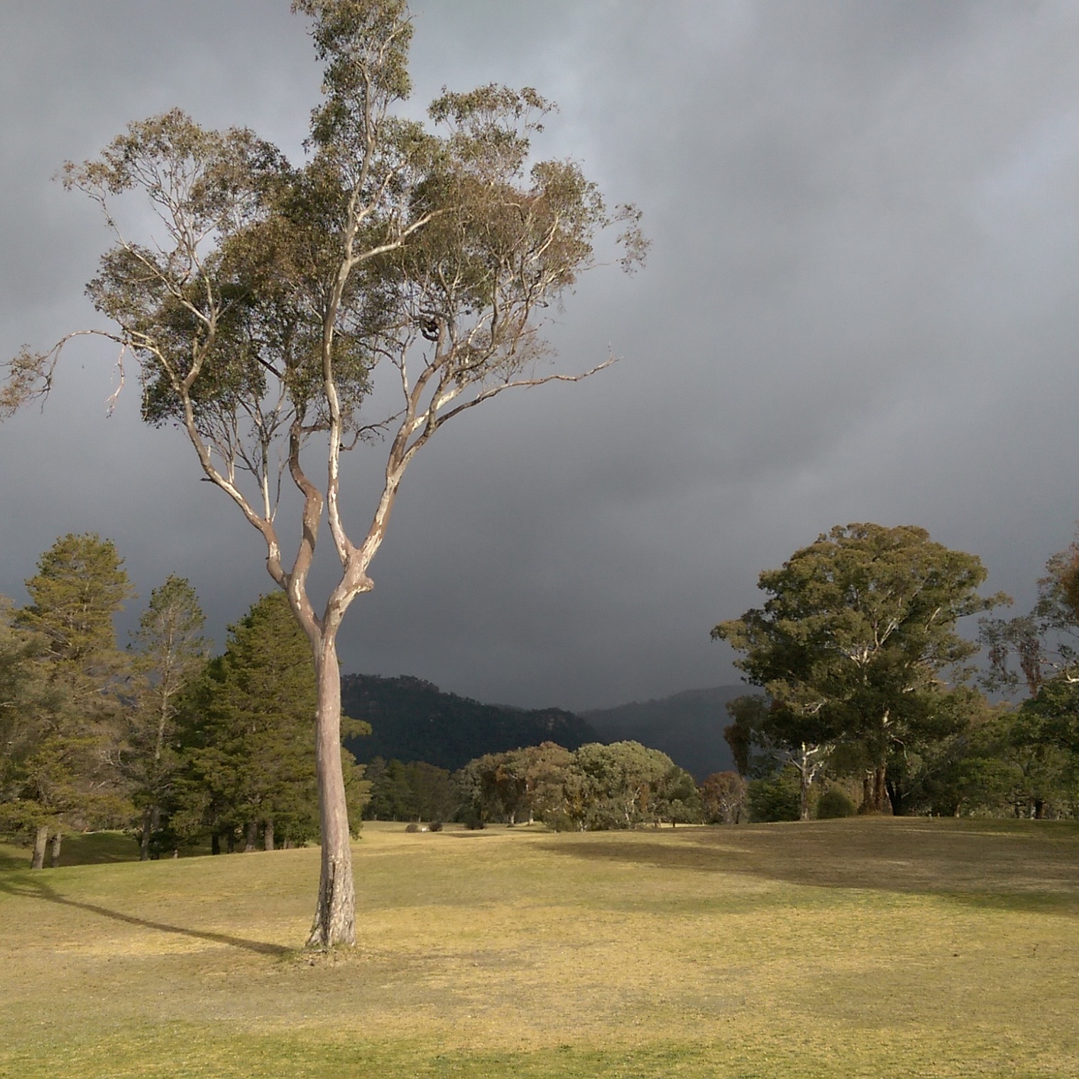 Henbury Sport & Recreation Club Ltd in Kandos - photo 2