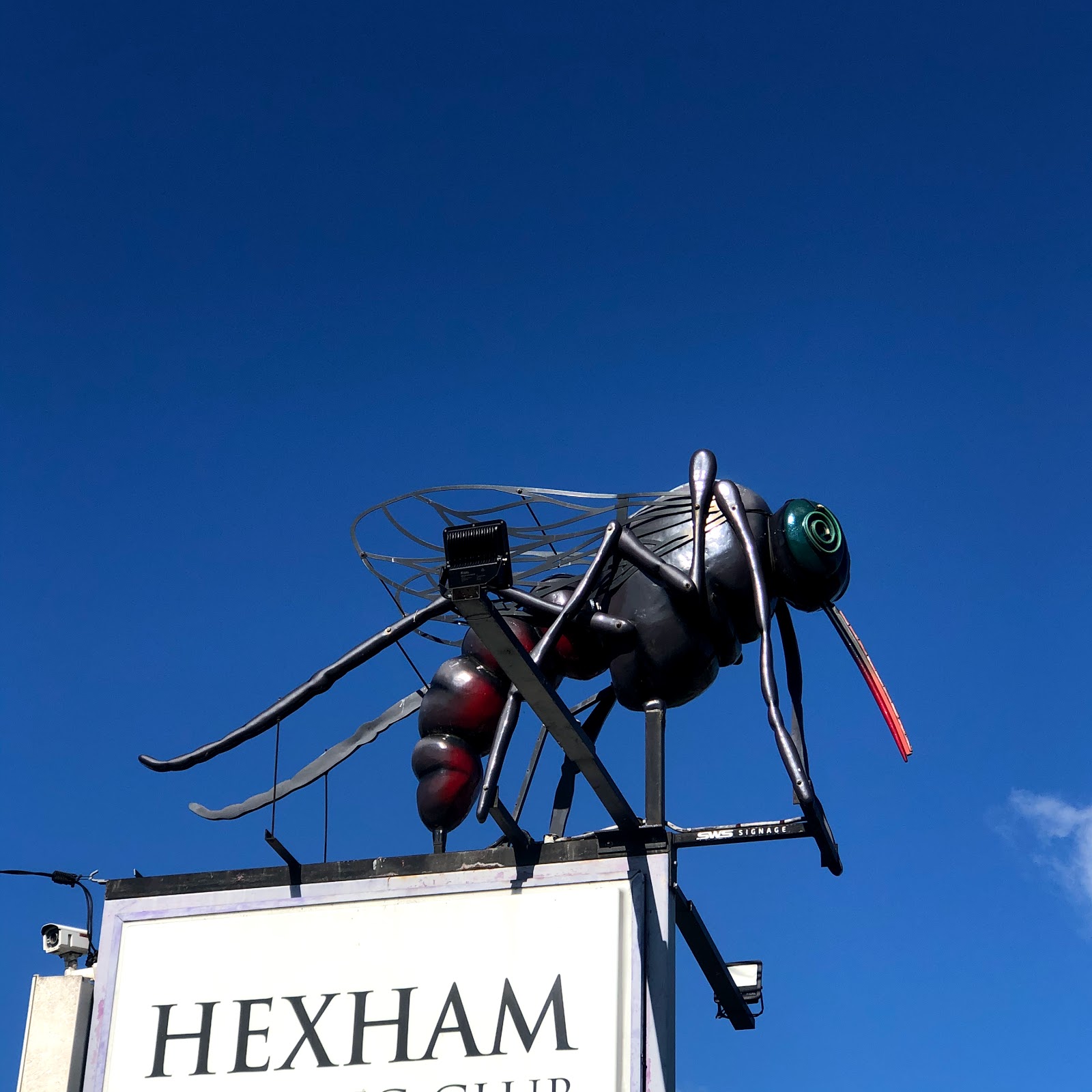 Hexham Bowling Club Co-operative Limited in Hexham - photo 2