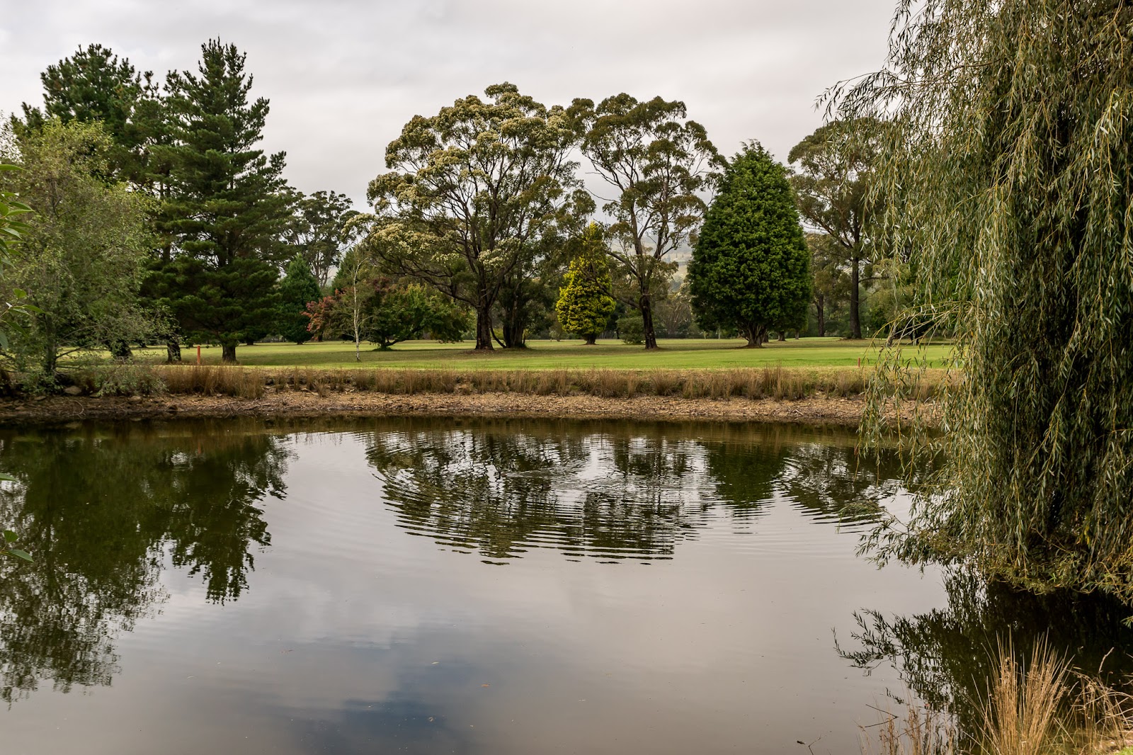 Highlands Golf Club Ltd in Mittagong - photo 2