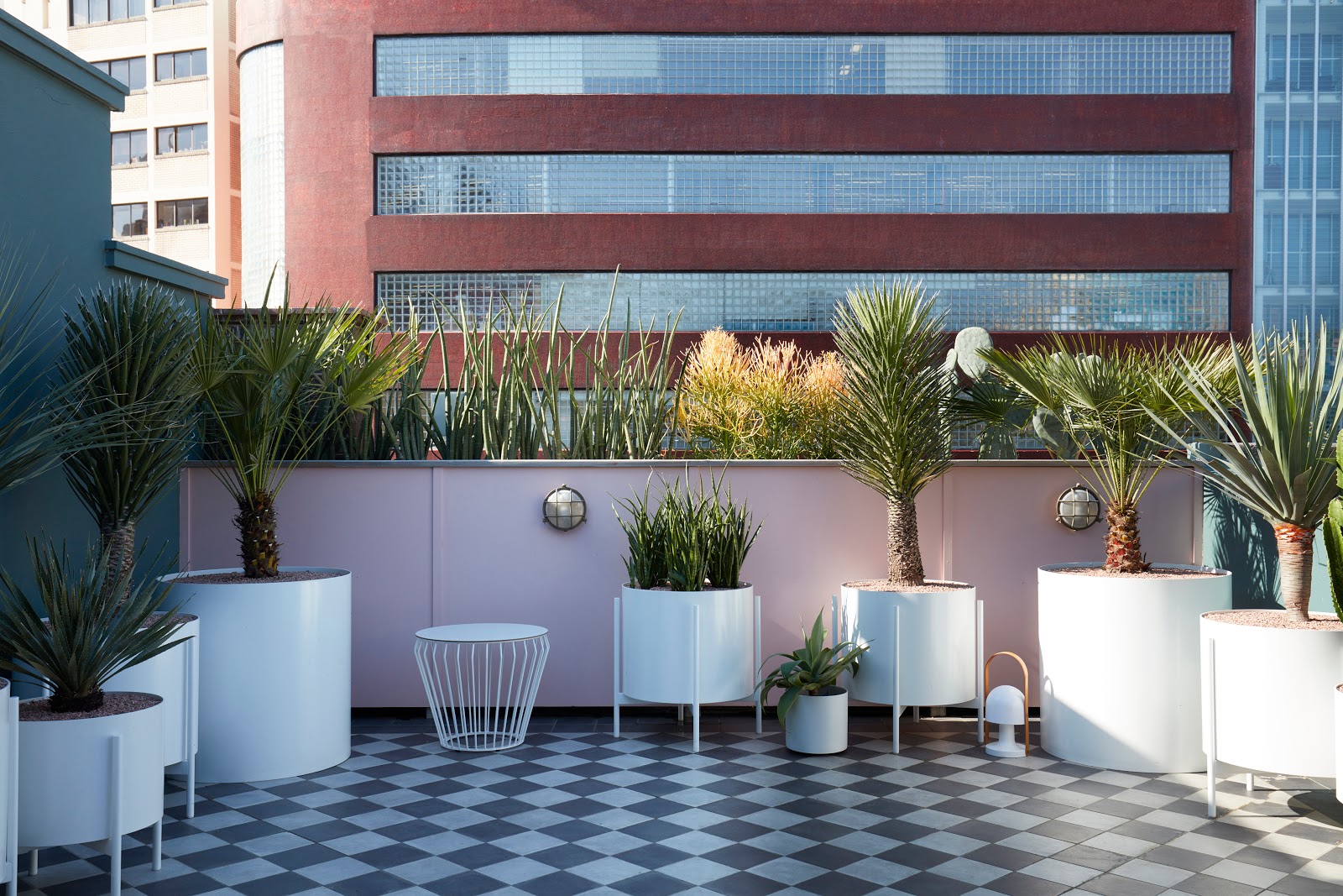 Hyde Park House in Darlinghurst - photo 4