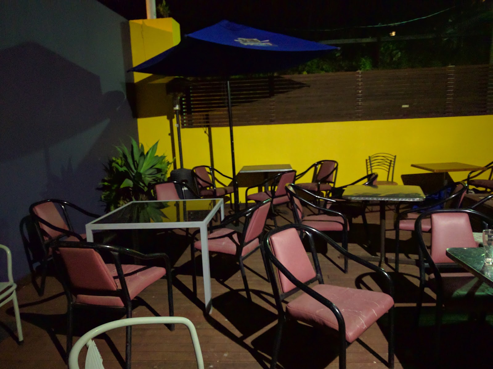 Kauri Hotel in Glebe - photo 3
