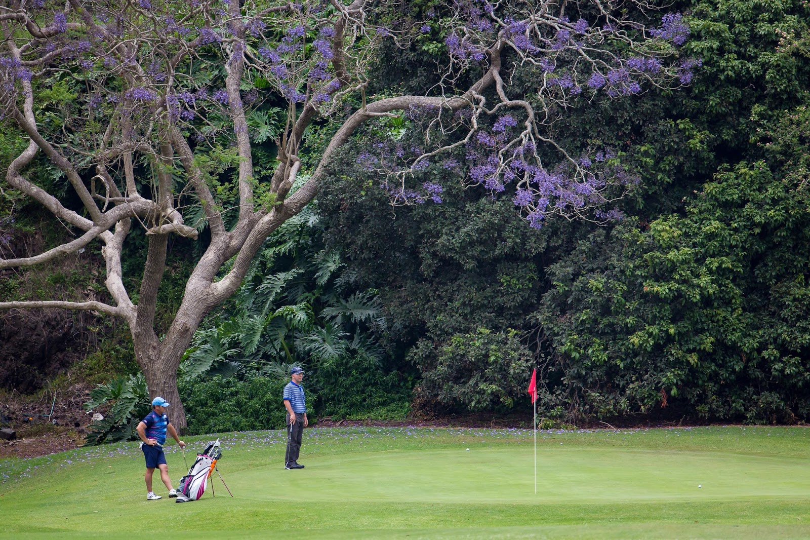 Kiama Golf Club in Kiama Downs - photo 7