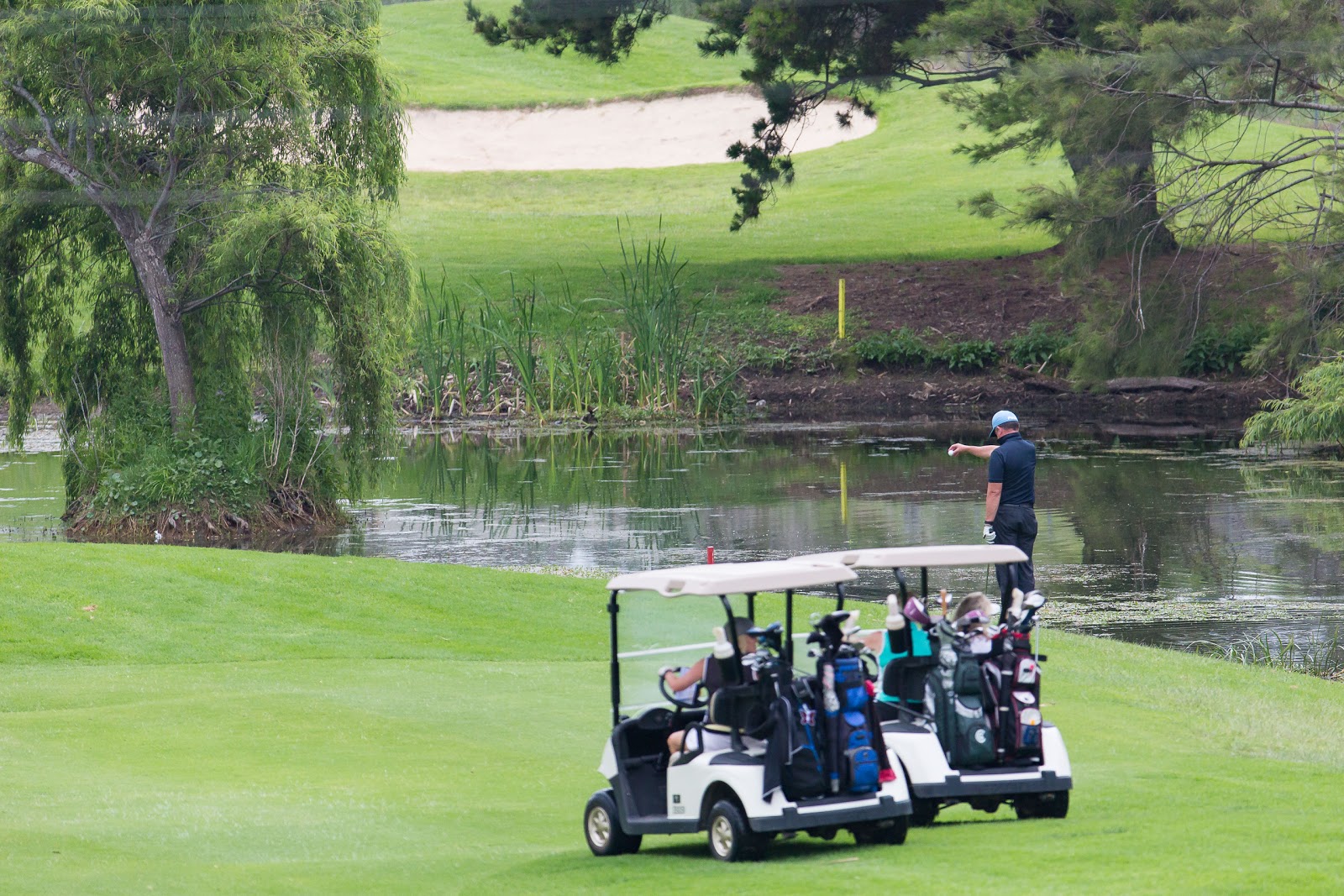 Kiama Golf Club in Kiama Downs - photo 6