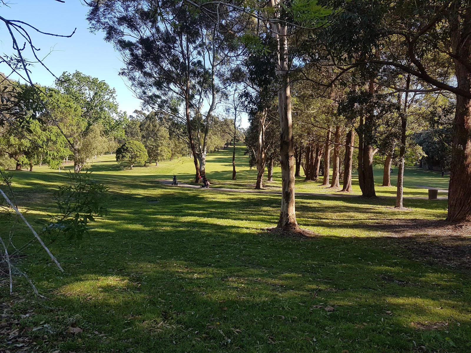 Killara Golf Club Limited in Killara - photo 7
