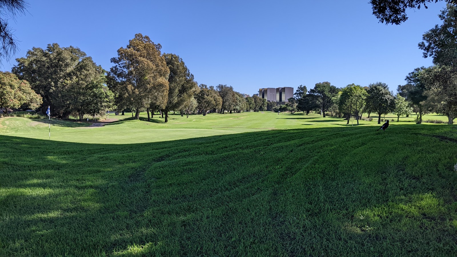 Kogarah Golf Club in Arncliffe - photo 3