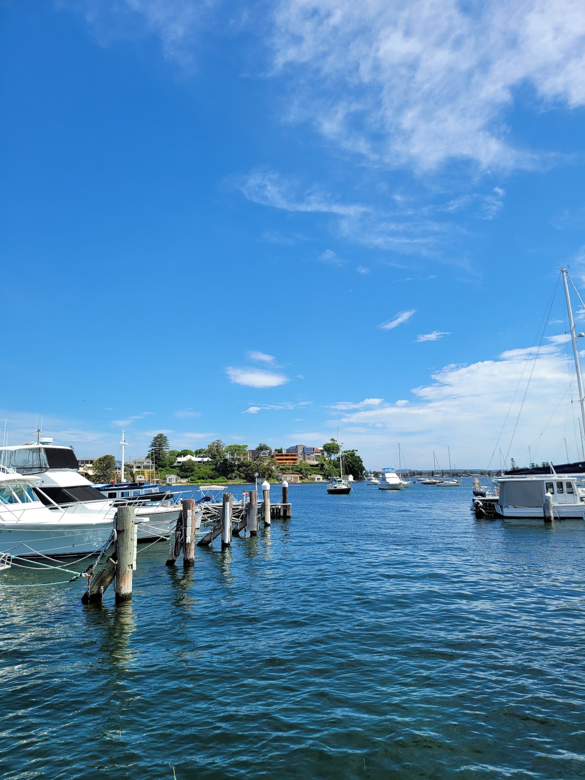 Lake Macquarie Yacht Club in Belmont - photo 5