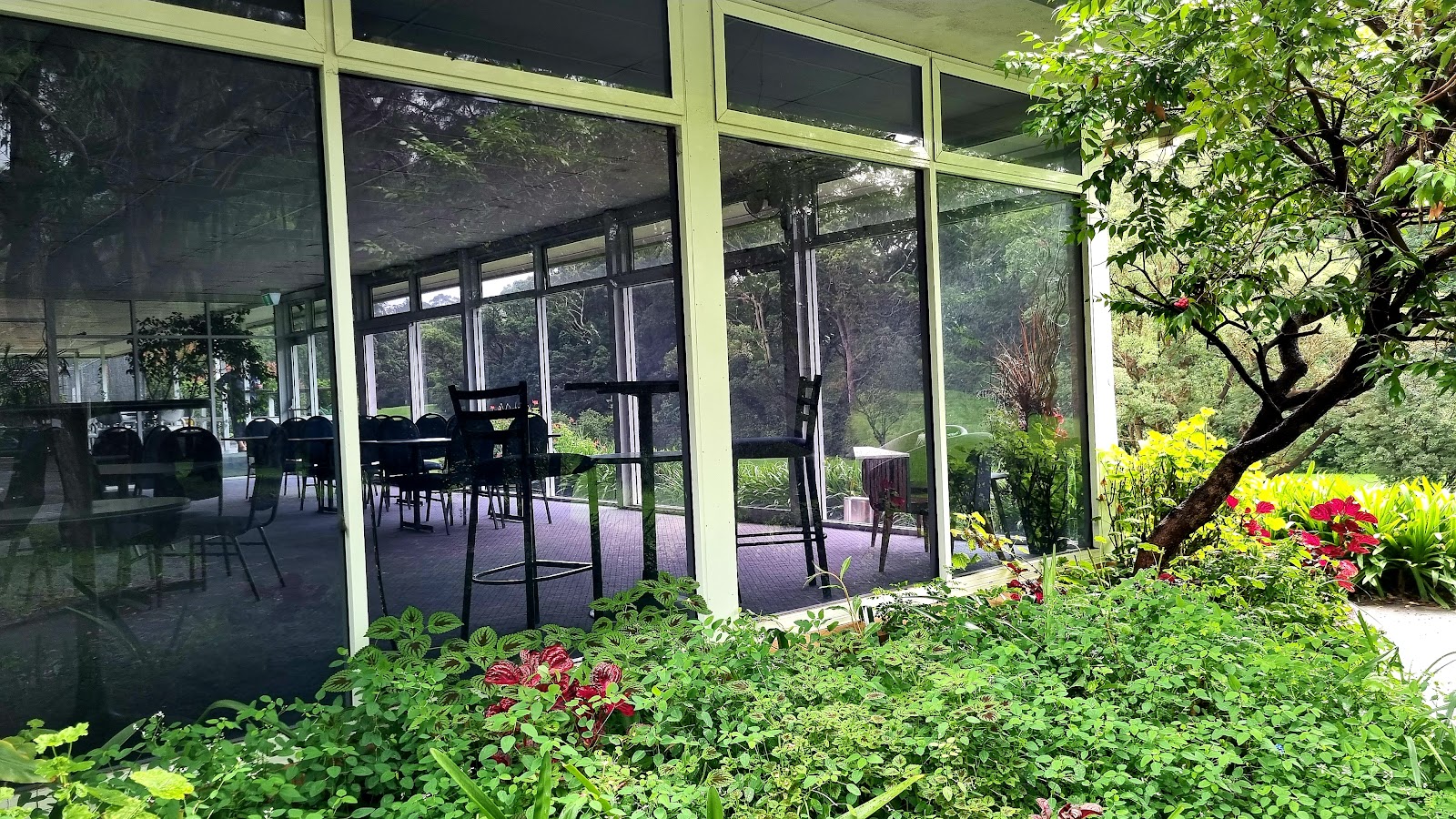Lane Cove Country Club in Lane Cove - photo 6