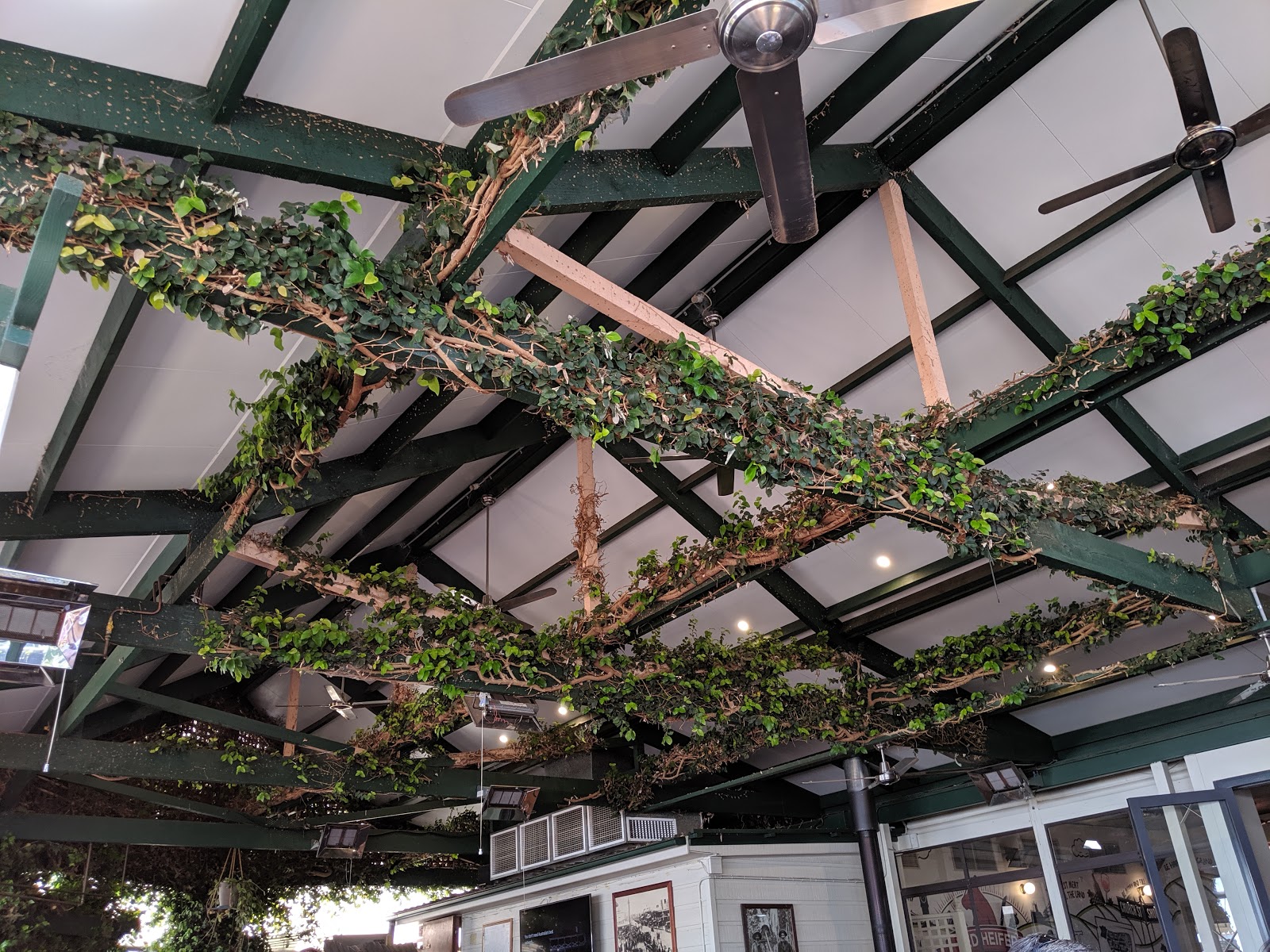 Lawson Park Tavern in Mudgee - photo 4