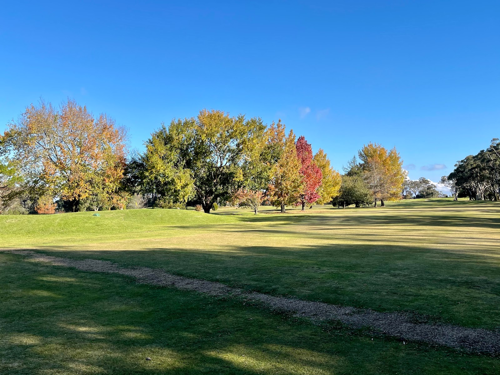 Leura Golf Club in Leura - photo 4