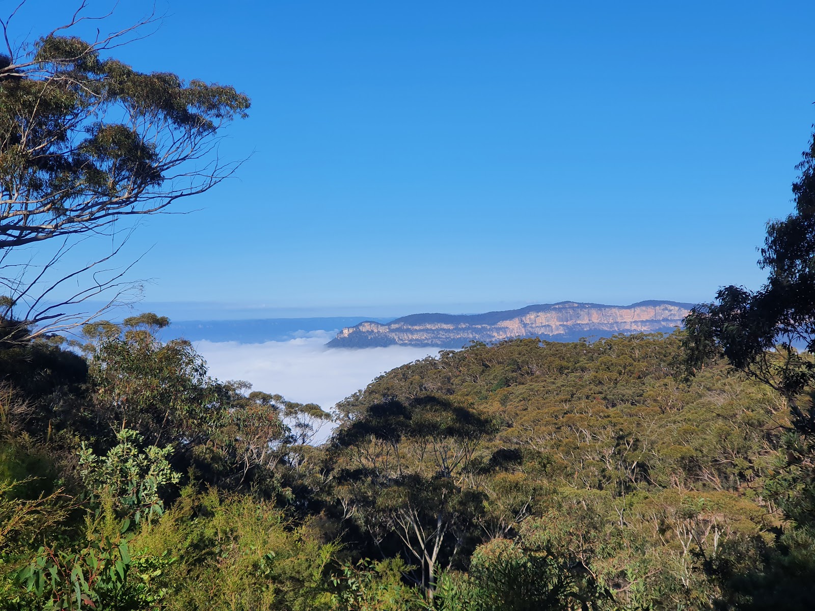 Leura Golf Club in Leura - photo 5