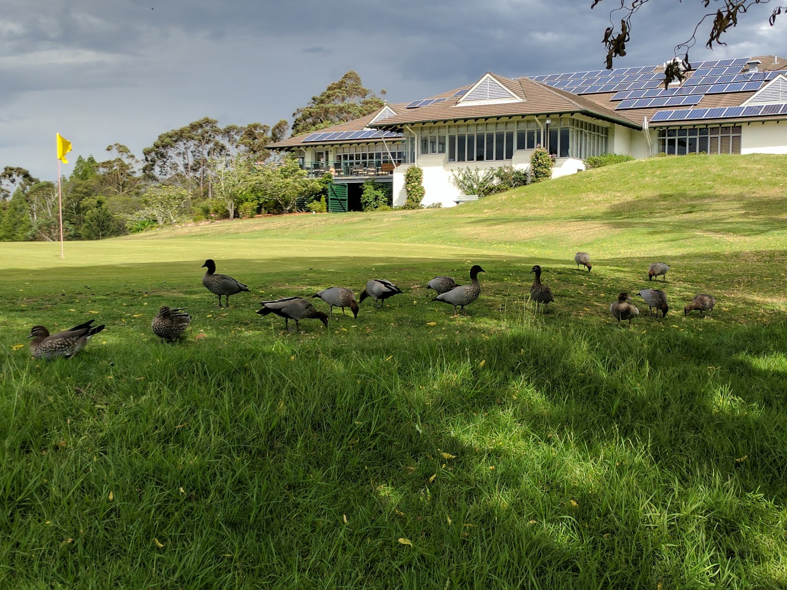 Leura Golf Club in Leura - photo 2