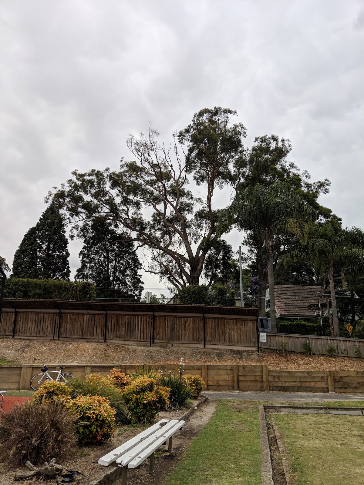 Lindfield Sport & Recreation Club in Lindfield - photo 2