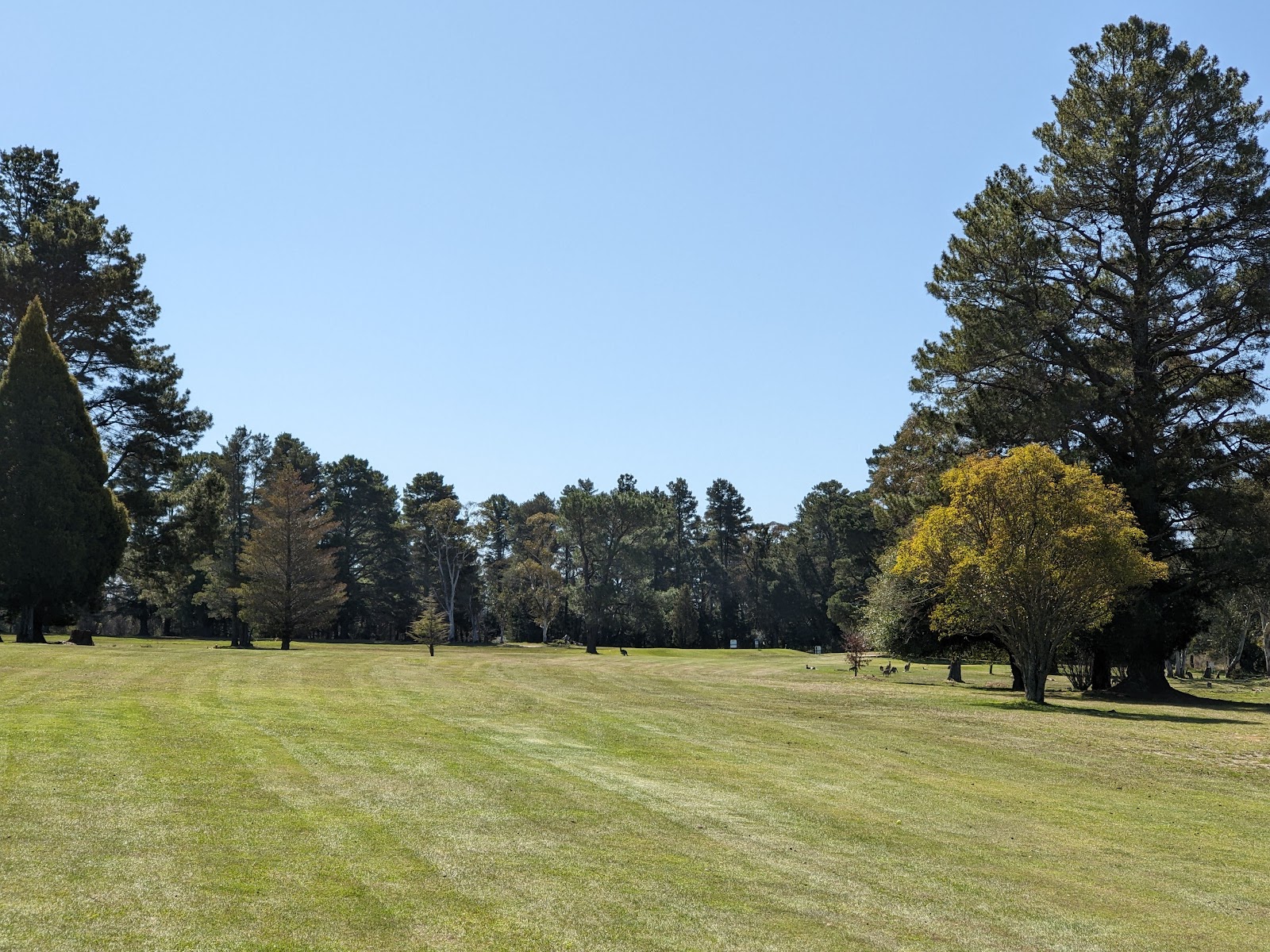 Lithgow Golf Club in Marrangaroo - photo 3