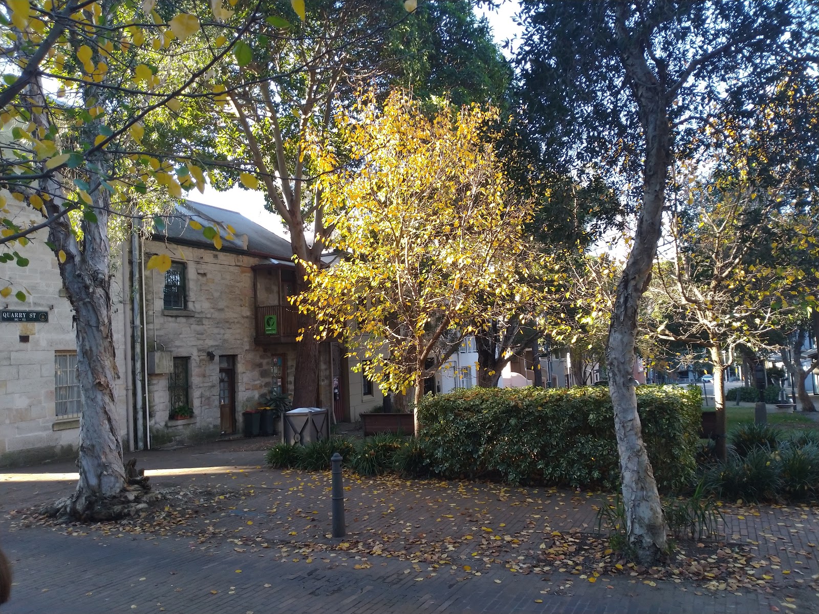 Lord Wolseley Hotel in Ultimo - photo 2