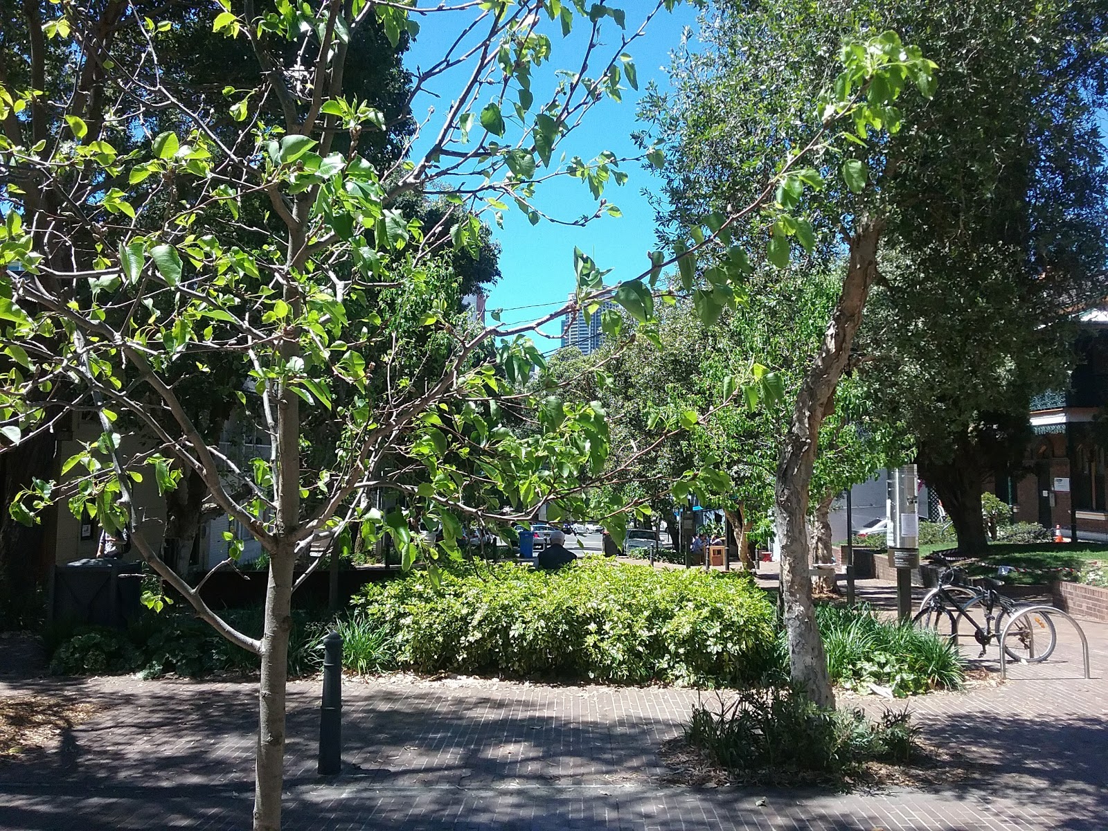 Lord Wolseley Hotel in Ultimo - photo 5