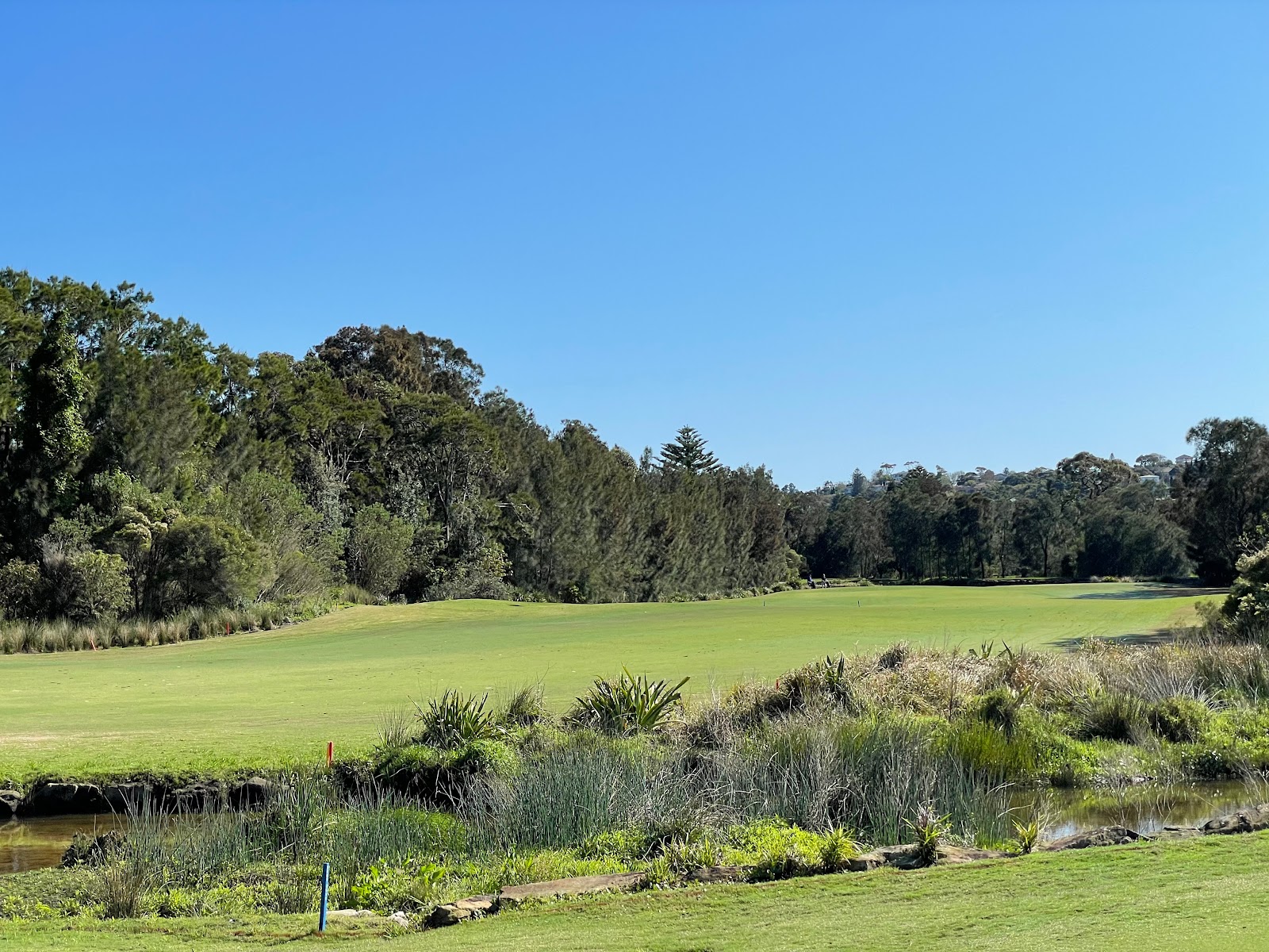 Manly Golf Club in Fairlight - photo 3
