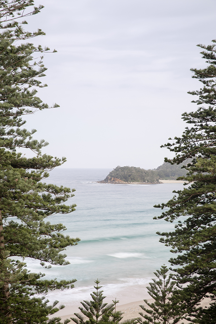 Manly Hotel in Manly - photo 3