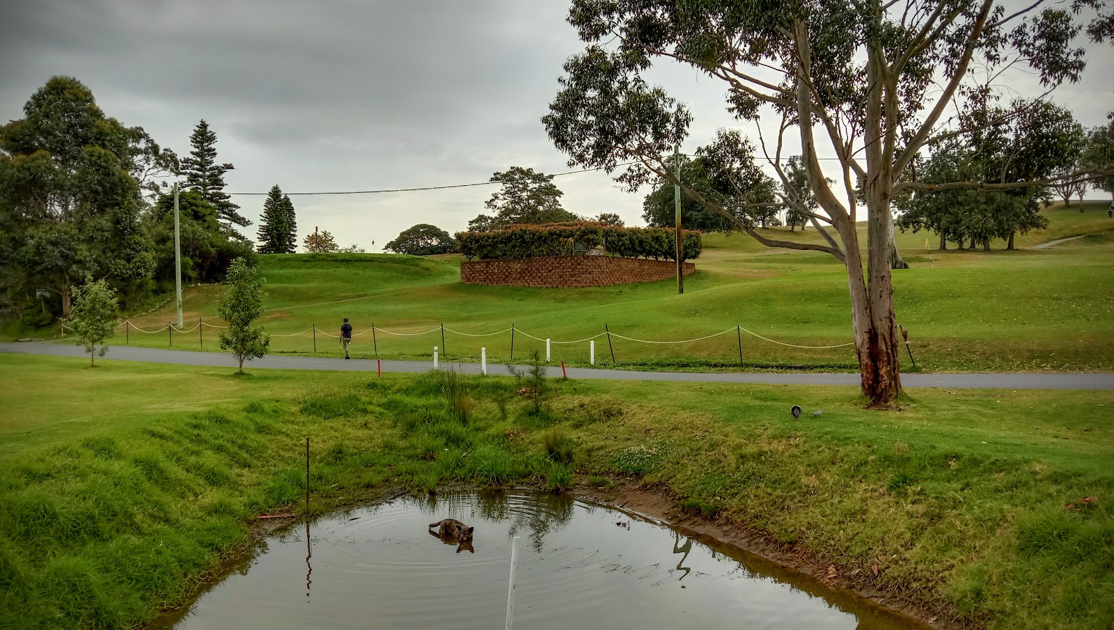 Marrickville Golf Club Ltd in Marrickville - photo 1