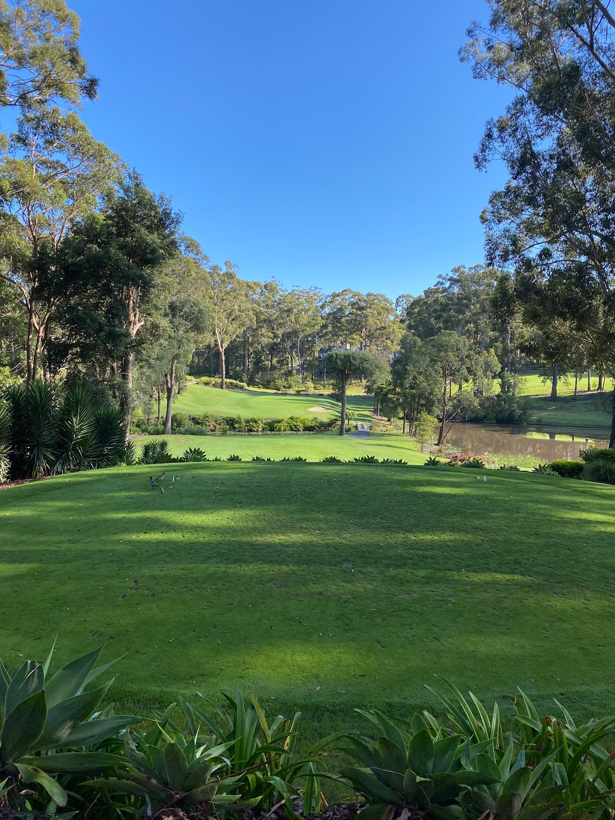 Mollymook Golf Club in Mollymook Beach - photo 7