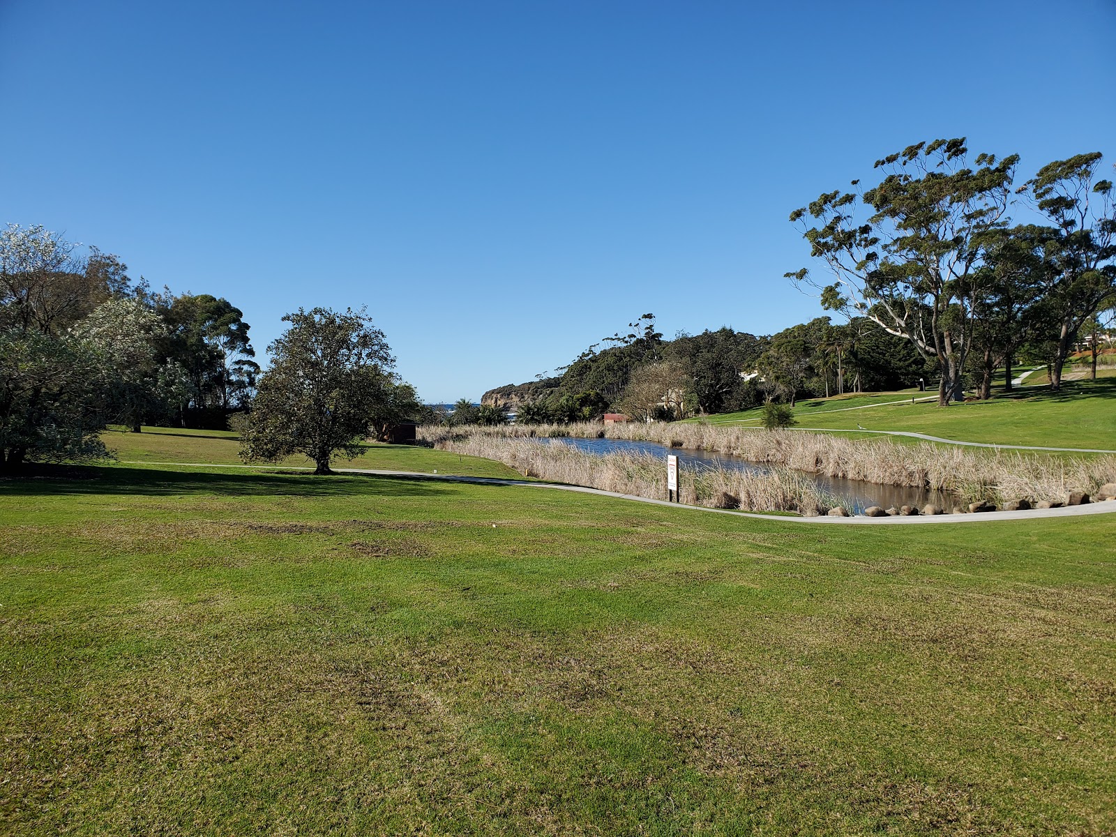 Mollymook Golf Club in Mollymook Beach - photo 8