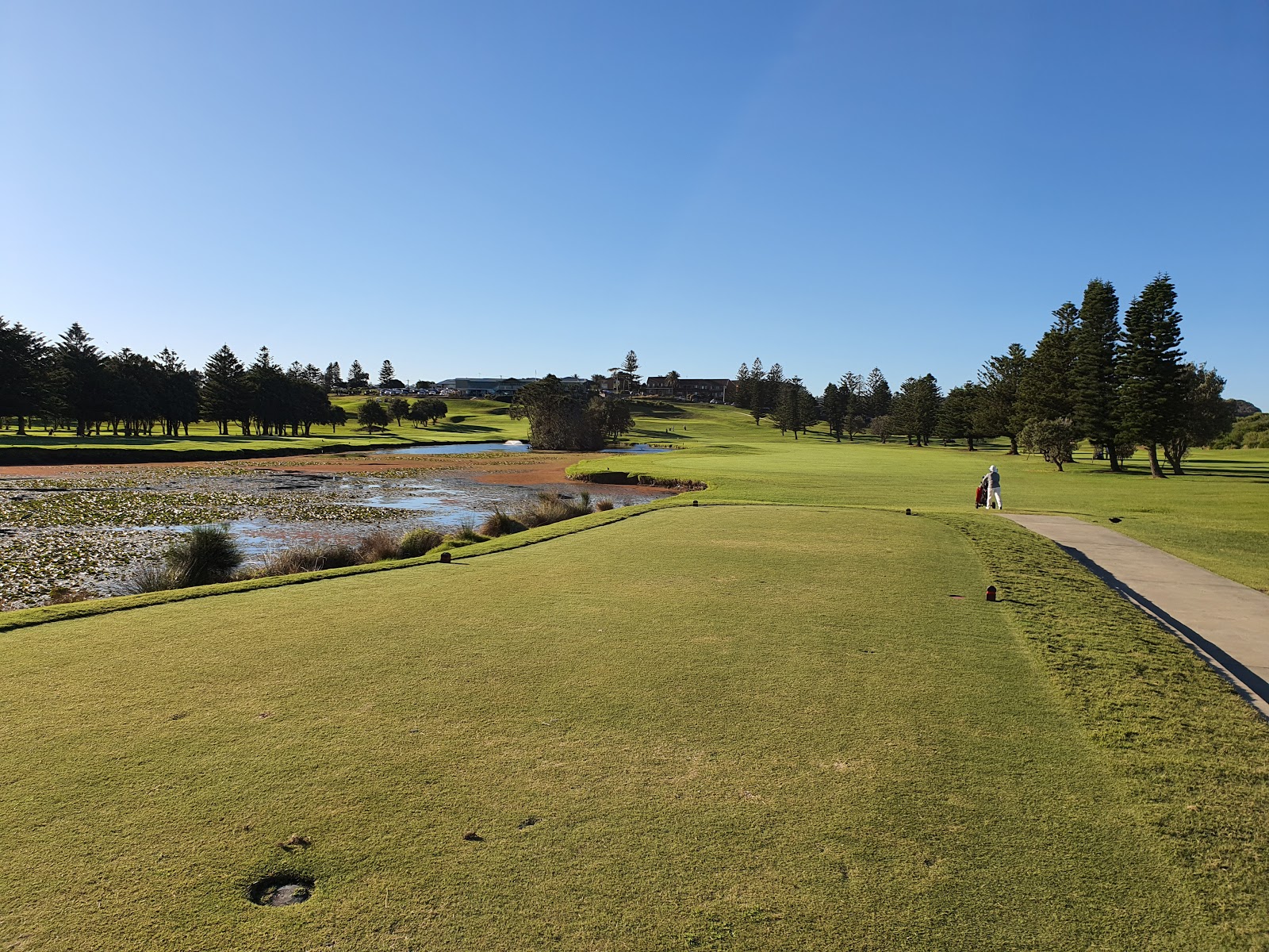 Mona Vale Golf Club in Mona Vale - photo 2