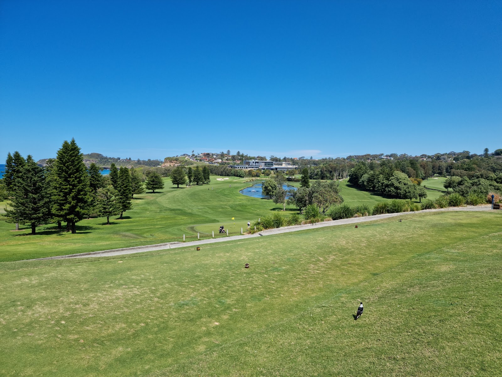 Mona Vale Golf Club in Mona Vale - photo 4
