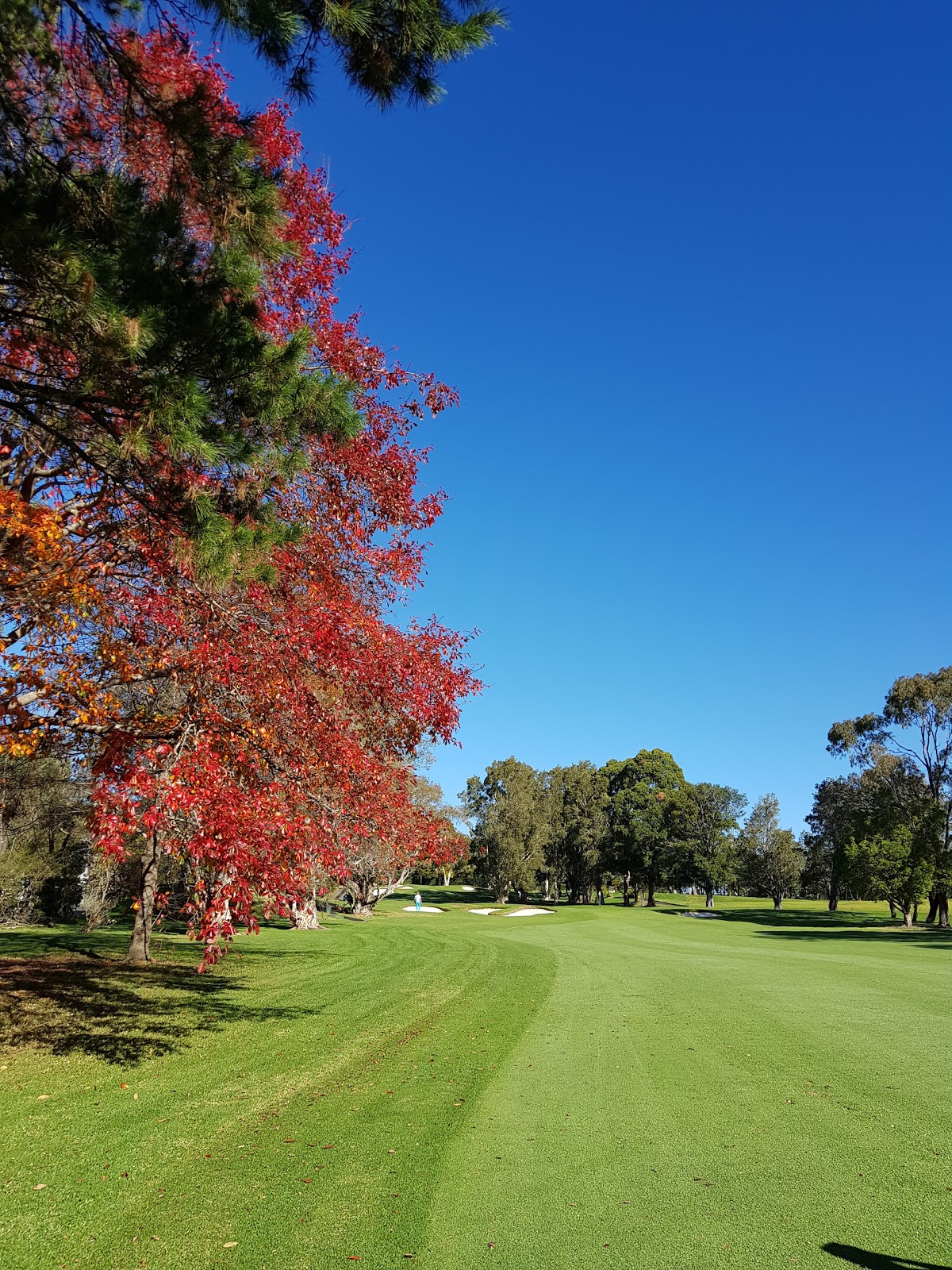 Monash Country Club in Ingleside - photo 4