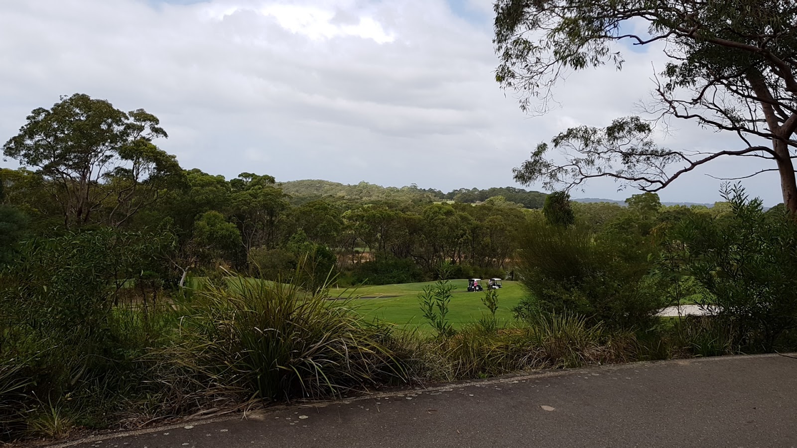 Monash Country Club in Ingleside - photo 5