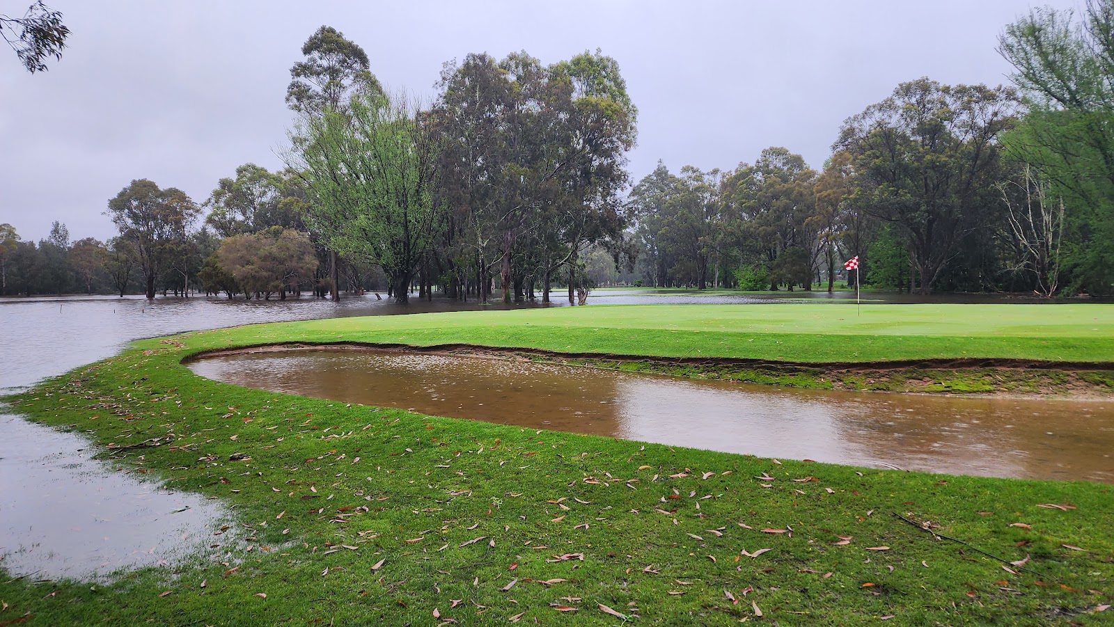 Moruya Golf Club in Moruya - photo 3