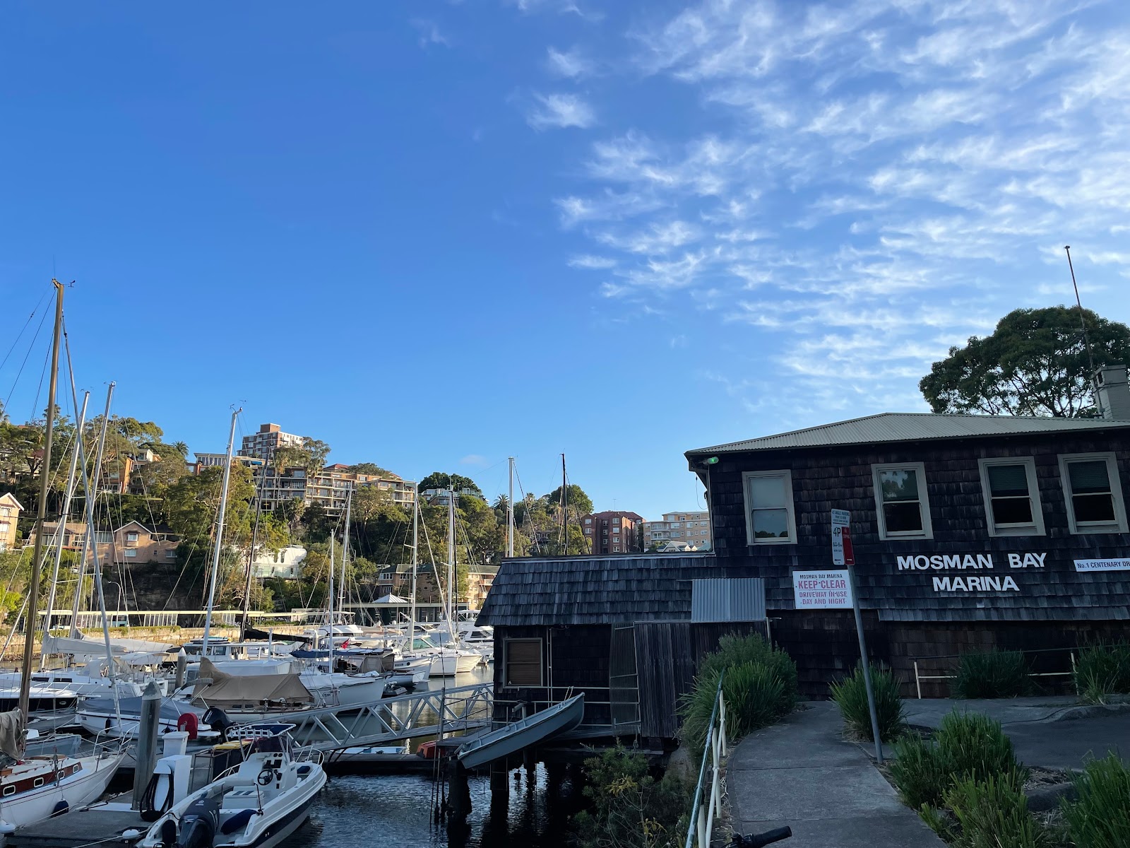 Mosman Rowers in Mosman - photo 4