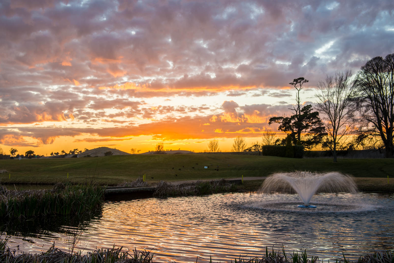 Mount Broughton Golf and Country Club Hotel in Sutton Forest - photo 3