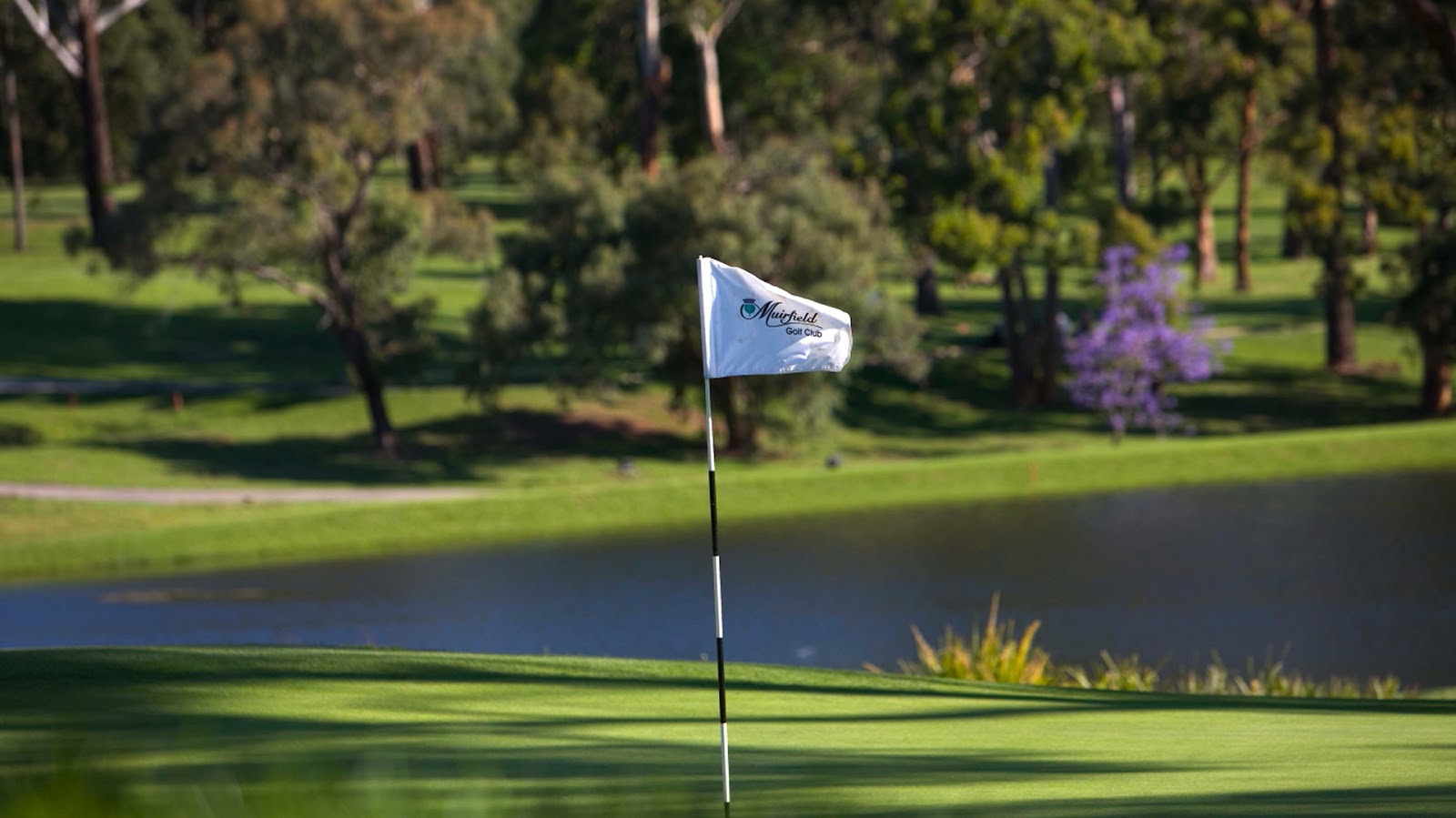 Muirfield Golf Club Ltd in North Rocks - photo 2
