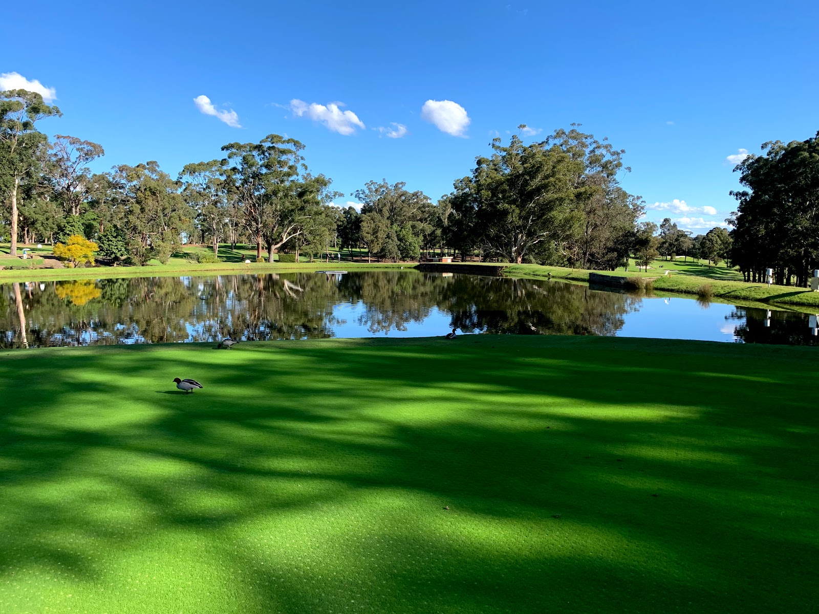 Muirfield Golf Club Ltd in North Rocks - photo 1