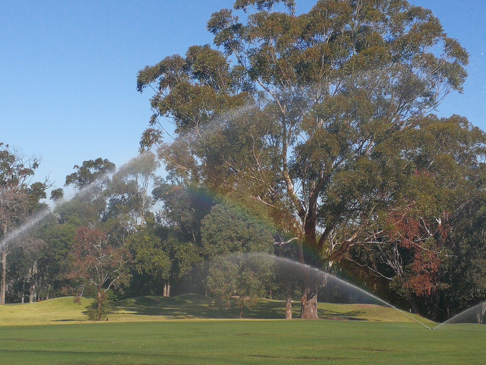 Muirfield Golf Club Ltd in North Rocks - photo 4